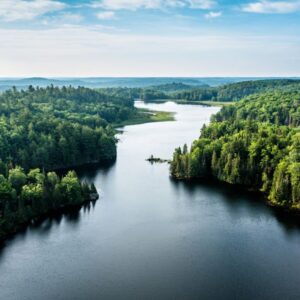 Aerial view of a lake and forest in the morning with mist over the forest in the distant horizon